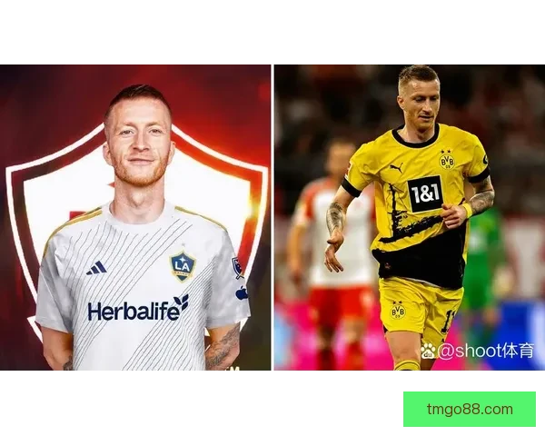 召回又放走安塞尔米诺罗马诺称多特欲买断切尔西震怒引发不满风波