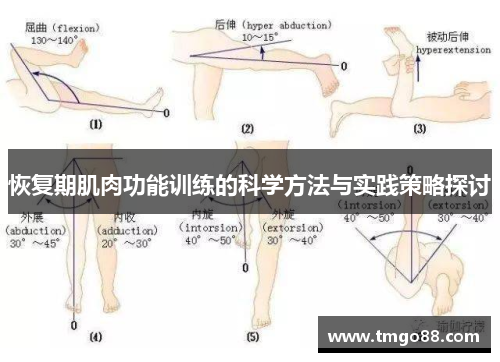 恢复期肌肉功能训练的科学方法与实践策略探讨