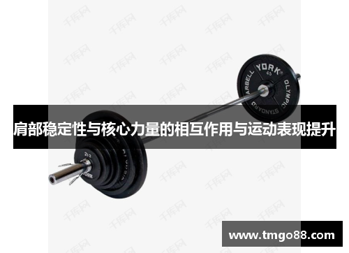 肩部稳定性与核心力量的相互作用与运动表现提升