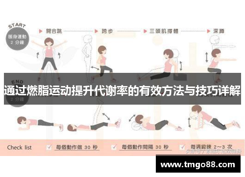 通过燃脂运动提升代谢率的有效方法与技巧详解